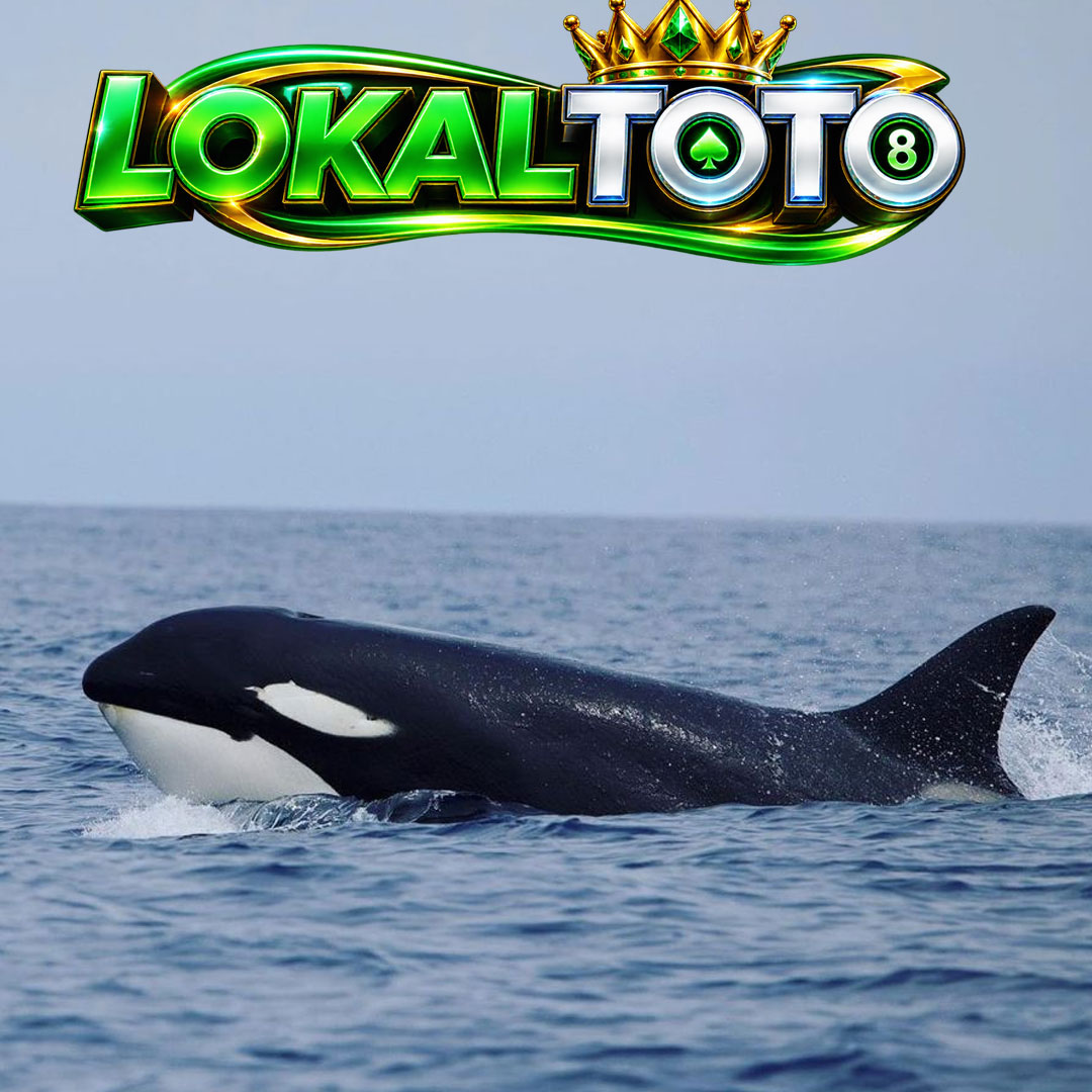 LOKALTOTO